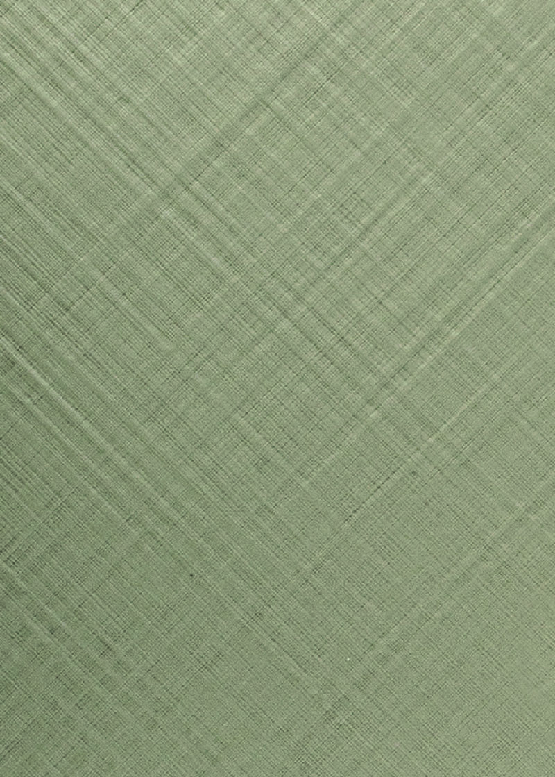 BG-6037