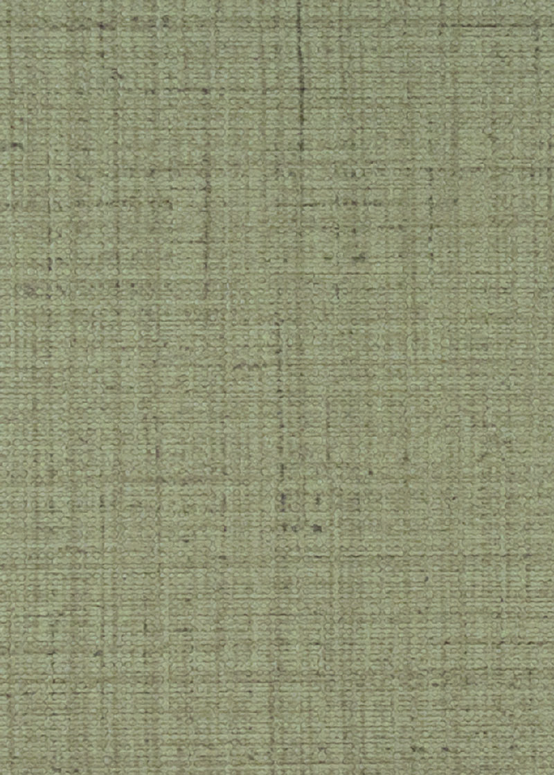 BG-5016