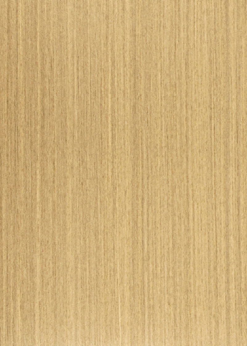 BG-6021